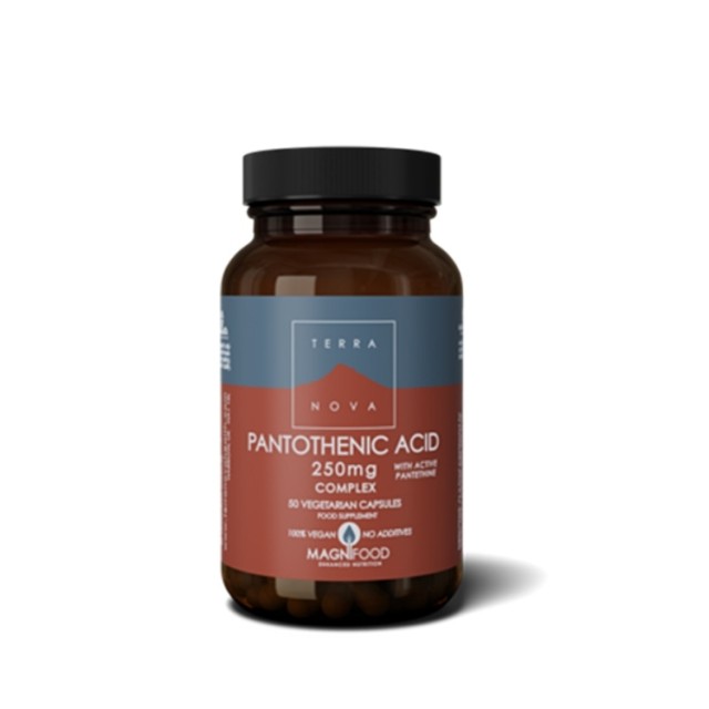 Terranova Pantotenska Kiselina 250 Mg 50 Kapsula Terranova Pantotenska Kiselina 250 Mg 50 Kapsula