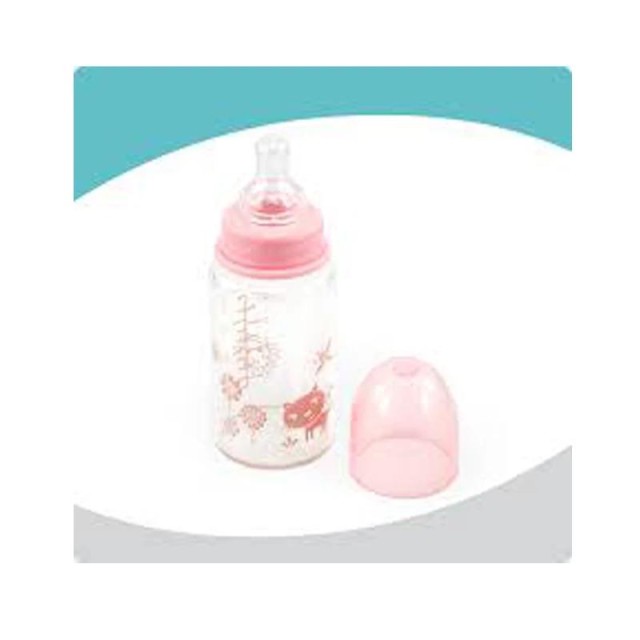 Elfi Flasica Staklena Silikonska Cucla 120Ml Rk11